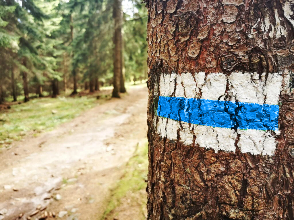 niebieskiszlak